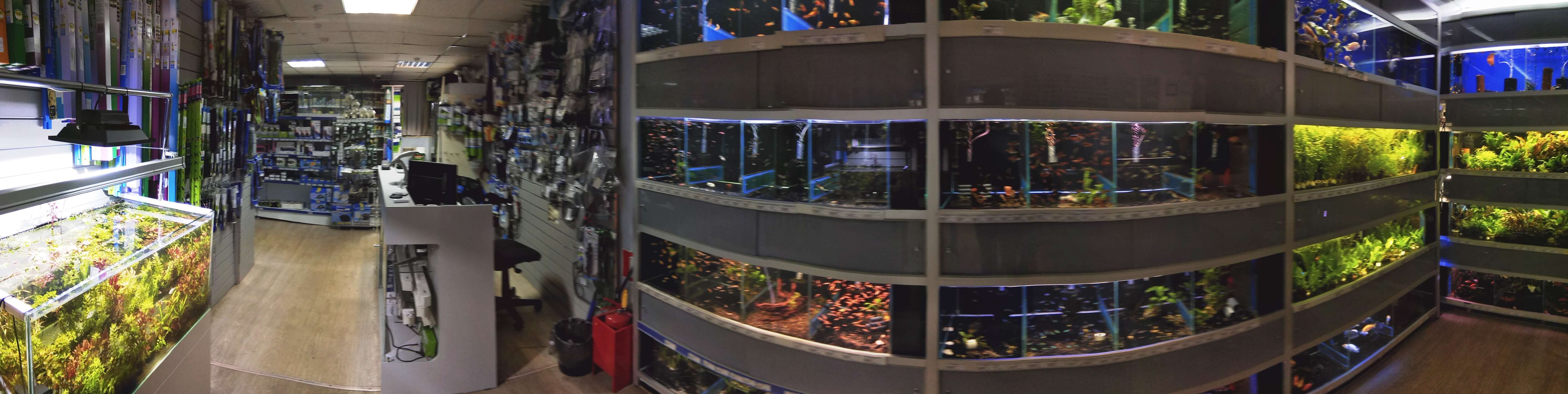 PANO_20180326_191118