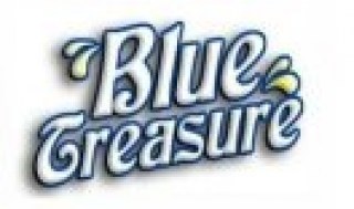 Изображение логотипа Blue Treasure, фото