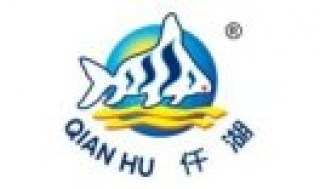 Изображение логотипа QIAN HU, фото