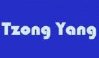 Изображение логотипа Tzong Yang, фото