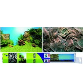 metfr