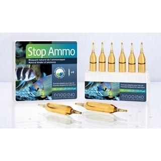 stop-ammo-6-ampoules