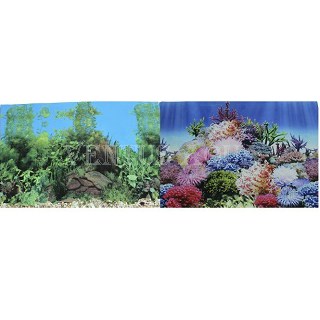 va-aqua_prime002378