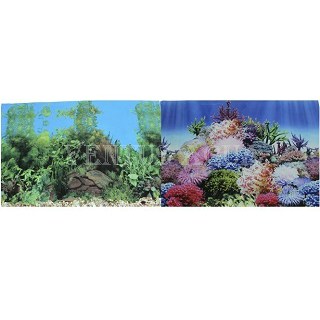 va-aqua_prime002385